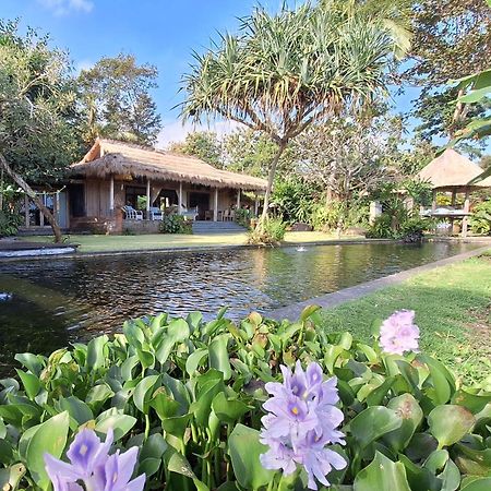 Bali Beach Eco Villas Pondok Matekap Selemadeg  Luaran gambar