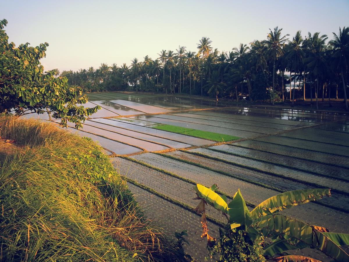 Bali Beach Eco Villas Pondok Matekap Selemadeg  Luaran gambar