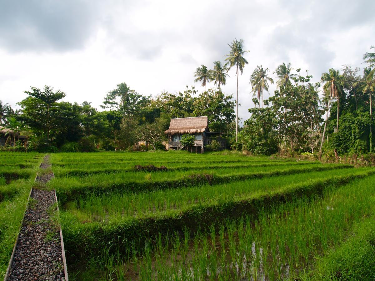 Bali Beach Eco Villas Pondok Matekap Selemadeg  Luaran gambar