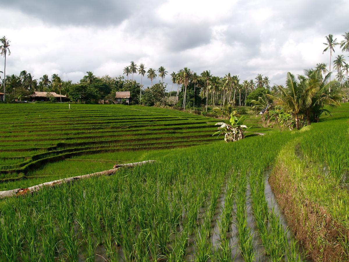 Bali Beach Eco Villas Pondok Matekap Selemadeg  Luaran gambar