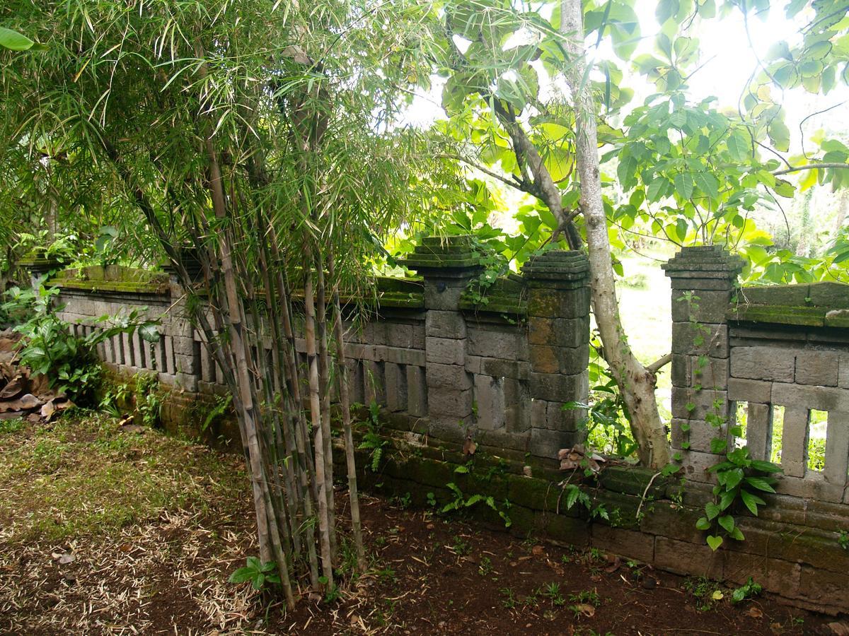Bali Beach Eco Villas Pondok Matekap Selemadeg  Luaran gambar