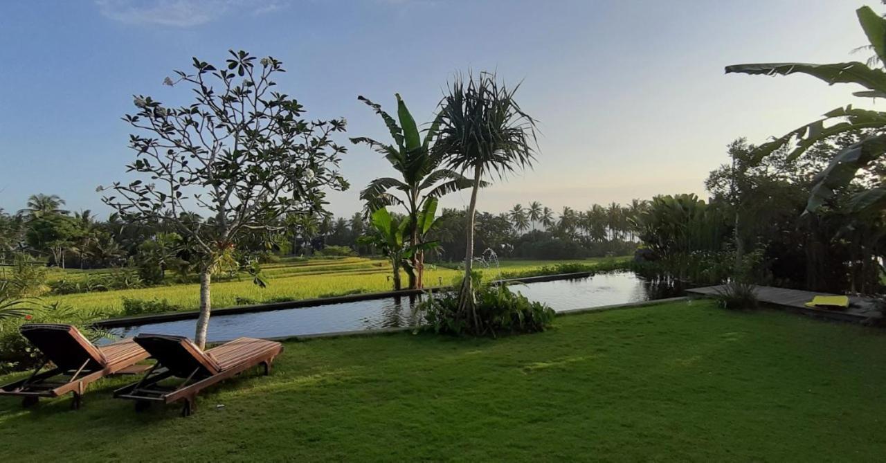 Bali Beach Eco Villas Pondok Matekap Selemadeg  Luaran gambar